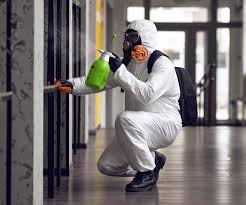 Why You Should Choose Our Mold Remediation Services in Cosmopolis, WA